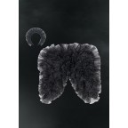 Halovīna enģeļa kostīms, BLACK