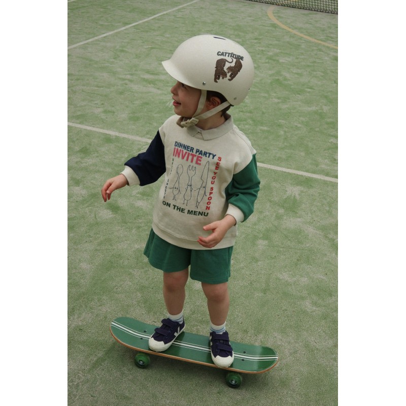 Skrituļdēlis, CATTITUDE