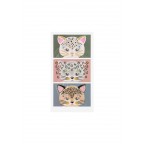 Sejas uzlīmes, KITTY FACE JEWELS, multi 