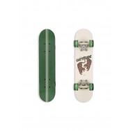 Skrituļdēlis, CATTITUDE