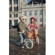 Balansa ritenis, BLUE STRIPE 