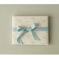 Ietinamais papīrs, 10m, bae, blue 