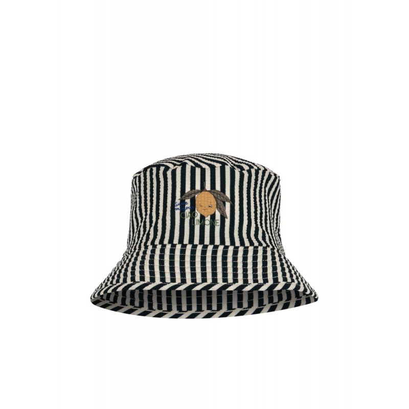 Vasaras cepure, Seer Asnou, SCARAB