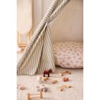 Fermas dzīvnieki, AIDEN