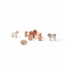 Fermas dzīvnieki, AIDEN