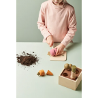 Koka augu kaste, KIDS HUB