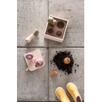 Koka augu kaste, KIDS HUB