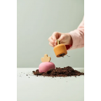 Koka augu kaste, KIDS HUB