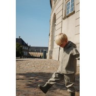 Lietus tērps, Plainy, Laurel oak