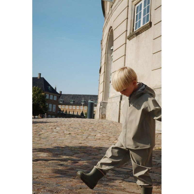 Lietus tērps, Plainy, Laurel oak