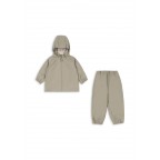 Lietus tērps, Plainy, Laurel oak