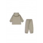 Lietus tērps, Plainy, Laurel oak