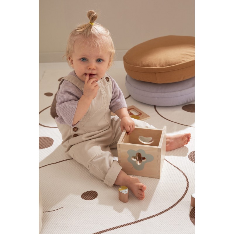 Figūru sorteris, MicroNeo, NEO