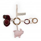 Aktivitāšu riņķis, FARM