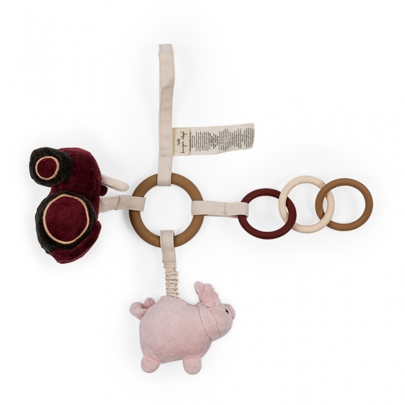 Aktivitāšu riņķis, FARM