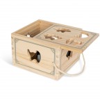 Figūru sorteris, DINO