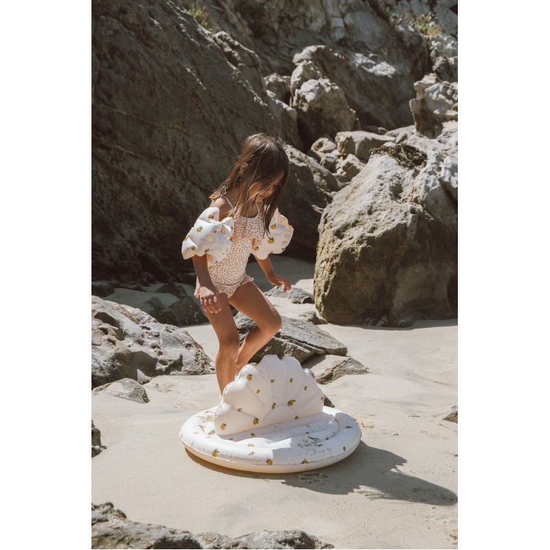 Smidzinātājs, Shell, LEMON