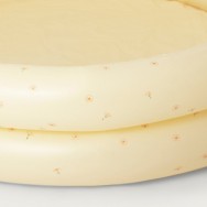 Mazuļu baseins, DAISY