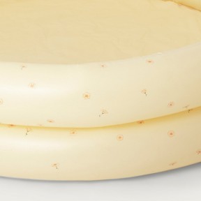 Mazuļu baseins, DAISY